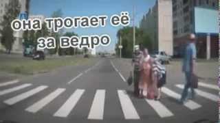 This is хорошо 142 Чаек разыграли ~ - ] [Seagull prank]