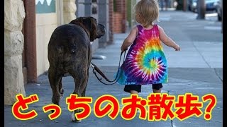 心が癒される！　子供と動物の微笑ましい写真