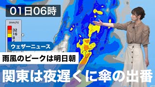 関東は夜遅くに傘の出番　雨風のピークは明日朝