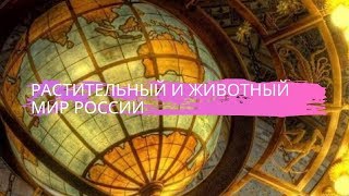 География 8 класс $20 Растительный и животный мир России
