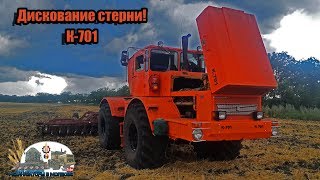 Кировец К-701!Дискование стерни и уборка пшеницы