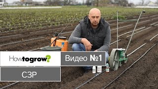 Применение гербицидов при посадке моркови и капусты
