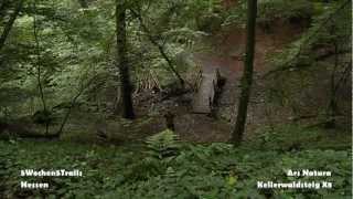 DVD 5Wochen5Trails Hessen 2012