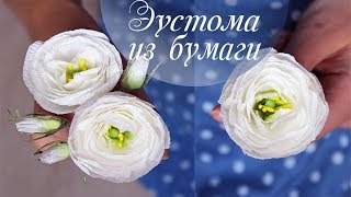Эустома или лизиантус из гофрированной бумаги