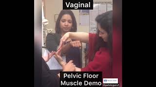 Vaginal Exam: Pelvic Floor Demonstration