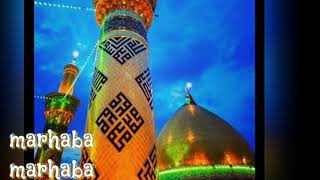 Tumpe lakho salam aye ali ke bisar new whatsap status 2018||status4u||