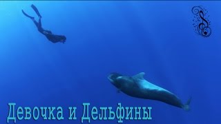Дельфины и красивая музыка  Релакс  Для души