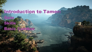 Black Desert Online - An introduction to tamers, gear, skills and simple pre awakened combos