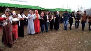 ROJ MÜZİK TUZLUCA