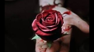 ✔️ Noches de Boda (Joaquín Sabina) Última Versión