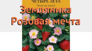 Земляника садовая Розовая мечта ? обзор: как сажать, семена земляники Розовая мечта