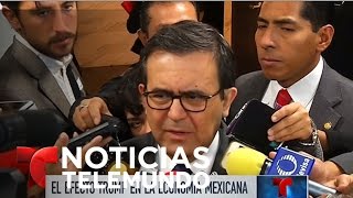 El real efecto Trump en la economía mexicana | Noticiero | Noticias Telemundo