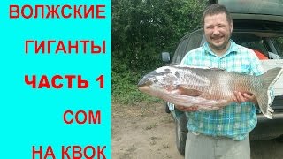 Волжские гиганты 1 - ловля сома на квок видео, квок на сома!