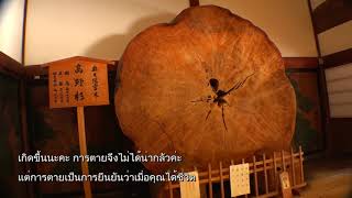 อย่ากลัวว่าเราจะจากโลกนี้ไป