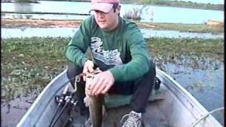 Largemouth bass fishing in weeds