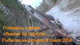Рыбалка на хариуса 2018 Ловля хариуса мушки на хариуса Клев хариуса Обманки на хариуса