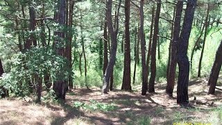18+ Как узнать про измену мужа. Признаки измены. Винни ПУХ.