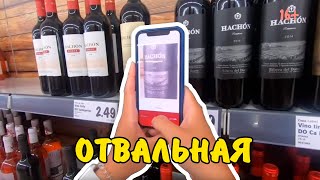 07. Какой провиант закупить на яхту перед выходом в море? Отвальная вечеринка.