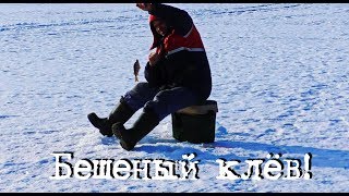 БЕШЕНЫЙ КЛЁВ СО ЛЬДА ЗИМНЯЯ РЫБАЛКА