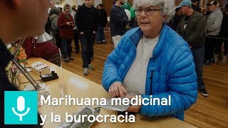 Qué implica la regulación de la marihuana medicinal en México - Es la hora de opinar