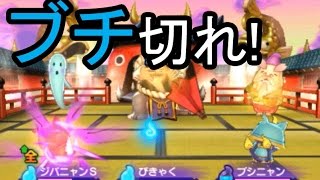 妖怪ウォッチ2真打#563   ブチ切れ！　しどろもどろ・花さか爺でいじめられ発狂【妖怪ウォッチ2元祖・本家・真打】 アニメでお馴染み、妖怪ウォッチ2を三浦TVが実況! 任天堂×level5