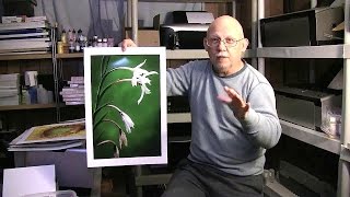 Print Show & Tell #4