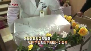 [KTV혁신을혁신하라] 반려동물이 죽으면 폐기물