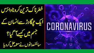 Khtrnak tareen Coronavirus aik chamgadar se insan k jism me kese agya? Sainsdano ne muama hal kr lia