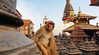 Swayambhunath: Kathmandu's Monkey Temple