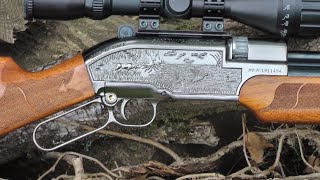 REVIEW: Sam Yang Ind - Sumatra 2500 Air Rifle - On Test - PCP Airgun