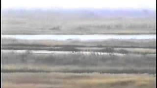 Таджико-афганская граница. Танки Т-72 "Урал" на позициях