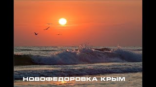 Отдых в Новофедоровке у моря актуальные цены на жилье