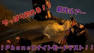 【新作ルアー3種】秋の明暗狙い！シーバスゲーム【iPhone11ナイトモードテスト】