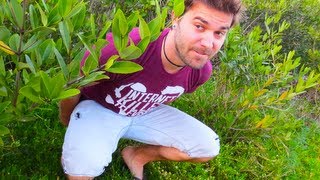 POOPING IN PUBLIC! (2.20.13 - Day 1392)