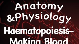 Cardiovascular System : Hematopoiesis - Making Blood (13:03)