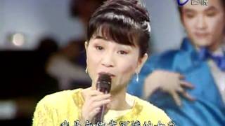 鳳飛飛-孤女的願望