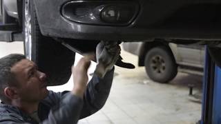 Замена лампочки противотуманных фар Ниссан Максима в нашем автосервисе