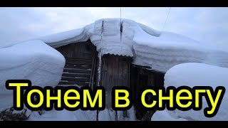 Тонем в снегу. Новая подстилка из сена для собак.