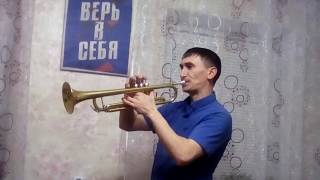 Песня о веселом ветре (на трубе)
