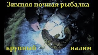 ЛУЧШАЯ НОЧНАЯ РЫБАЛКА НА КРУПНОГО НАЛИМА / THE BEST NIGHT FISHING FOR BIG BURBOT