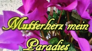 Mutterherz mein Paradies (neues Werk)