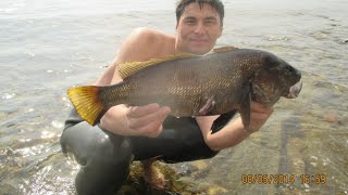 Отдых в крыму.подводная охота и дайвинг на затонувшие корабли!