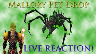 Araxxor: Mallory Pet Drop LIVE REACTION!