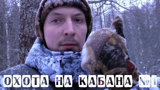 Охота на кабана с лабаза ▶ Тест костюма Экипирус ✌ №1
