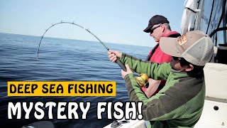 A Deep Sea BIG FISH Surprise | Fishing with Rod