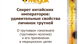 Секрет китайских императоров: удивительные свойства личинок трутней