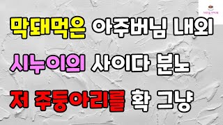 [시누이 사이다 분노썰] 막돼먹은 아주버님 내외 시누이의 사이다 분노 저 주둥아리를 확 그냥ㅣ썰ㅣ사연ㅣ라디오사연ㅣ