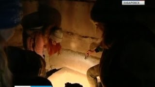 Вести-Хабаровск. Кладбище животных