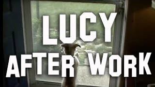 Lucy: Coming Home From Work