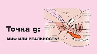 Существует ли точка G? Как найти точку G?